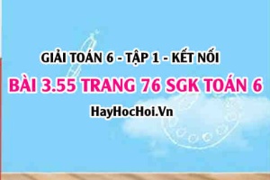 Giải bài 3.55 trang 76 Toán 6 Tập 1 SGK Kết nối tri thức